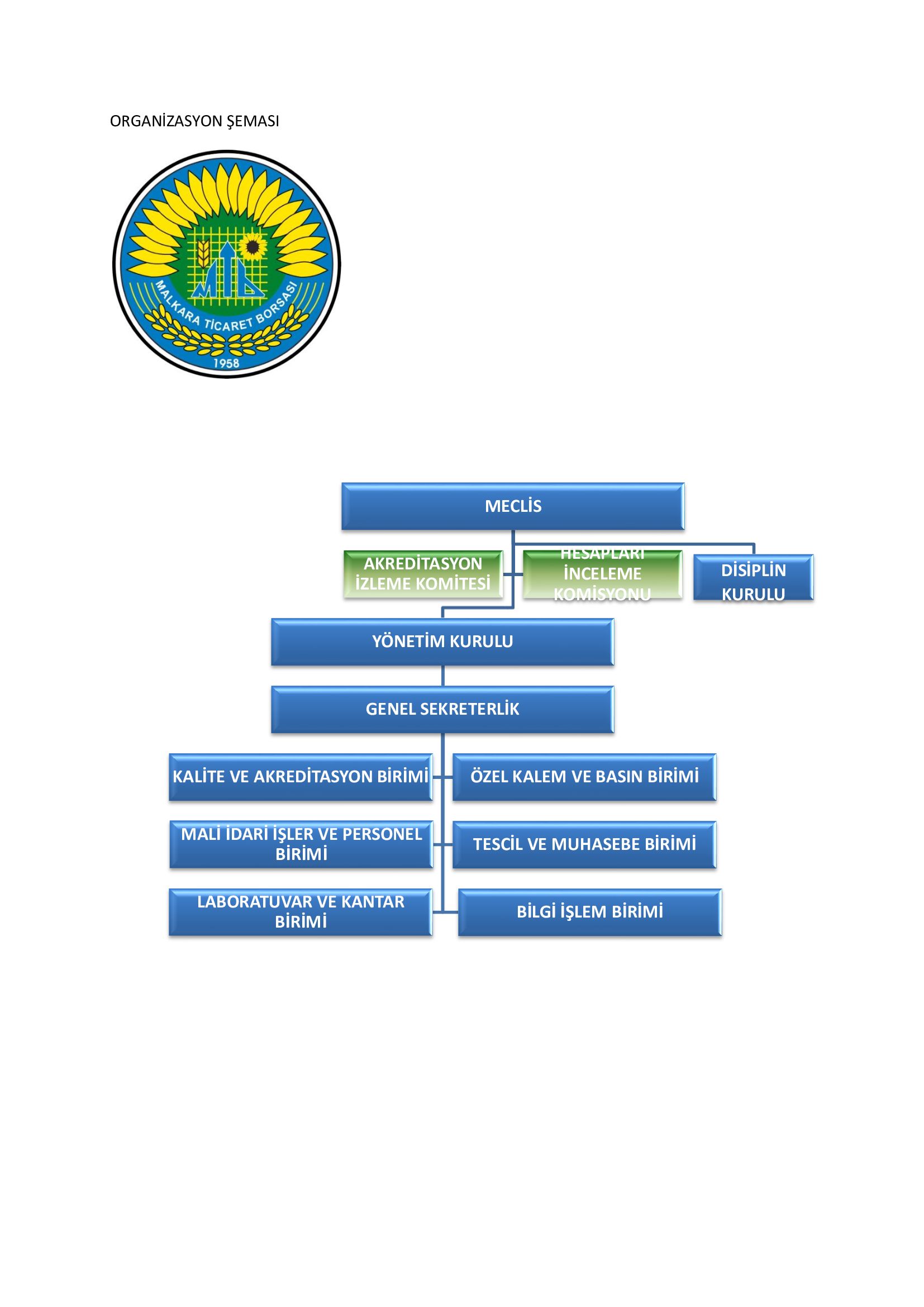 ORGANİZASYON-ŞEMASI (1)