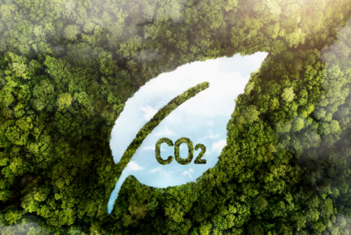 Karbon Ayak İ̇zi̇ni̇ Hesapla