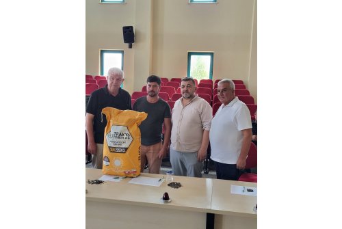 Yılın İ̇lk Ayçi̇çeği̇, 31.100 Tl Fi̇yatla Alıcı Buldu.